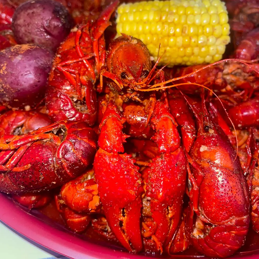 crawfish